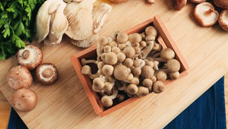variedad de setas frescas en una tabla de cortar de madera