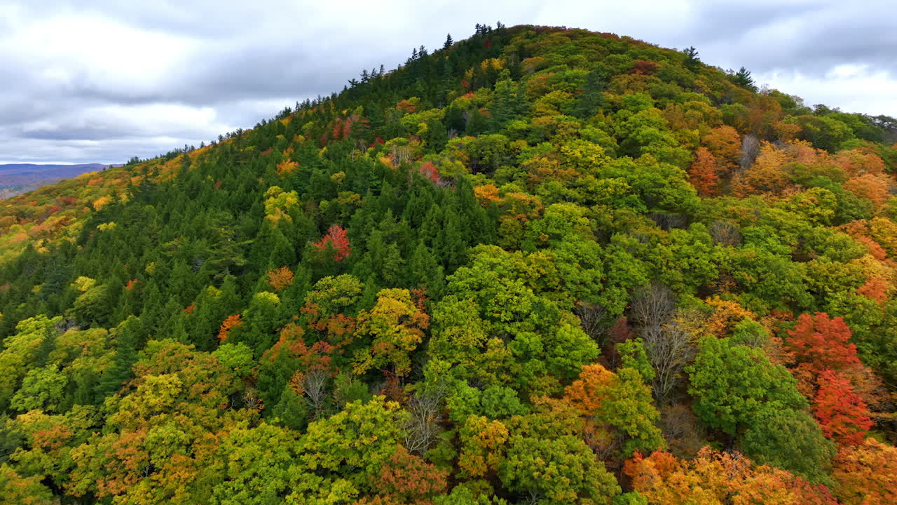 Beautiful diverse forest cover the high mountain. Foliage change colors in autumn. Cloudy sky at backdrop.
