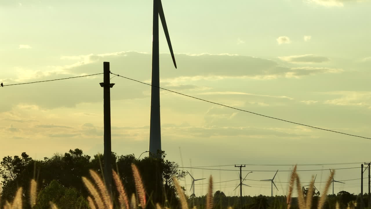Cinematic telephoto ascending reveal of a giant wind turbine with power lines and blurred grass at sunset in Imbe, Brazil. 4K