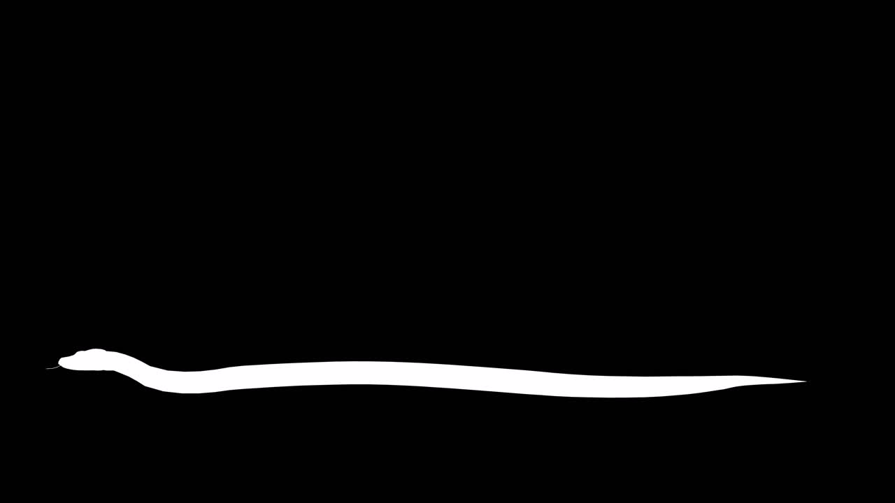 검은색 배경에 기어다니는  파이톤과 비디오의 끝에 포함 된 알파 채널, 3d 애니메이션, 측면 뷰, 애니메이션 동물, 원활한 루프 애니메이션