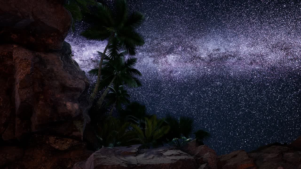 4K hyperlapse star trails over sandstone canyon walls and palms