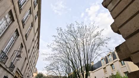 time-lapse view of sky and trees between city buildings