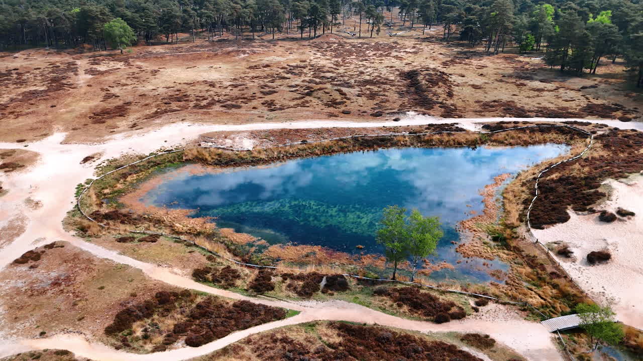 Clear pond in nature. A tranquil pond reflects the sky and trees in a serene natural landscape during a sunny day