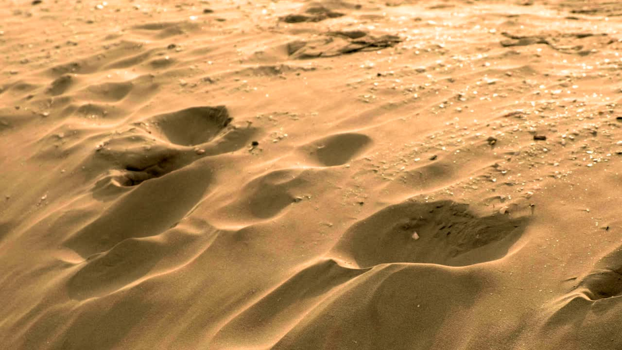 모래 언덕 텍스처 세부 사항 패닝