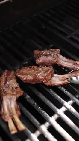 grilled lamb ribs on a grill