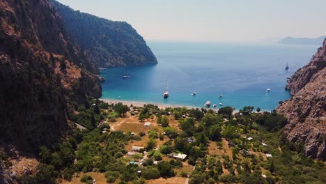 aerial dolly shot of green trees and paradisiacal beach during sunny day