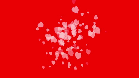 corazones rosados pálidos expandiéndose suavemente sobre un fondo blanco