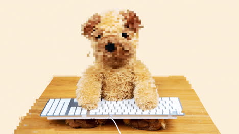 teddy bear typing on a keyboard