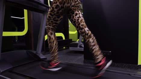 slow motion shot of a fit young woman running on a treadmill at a gym