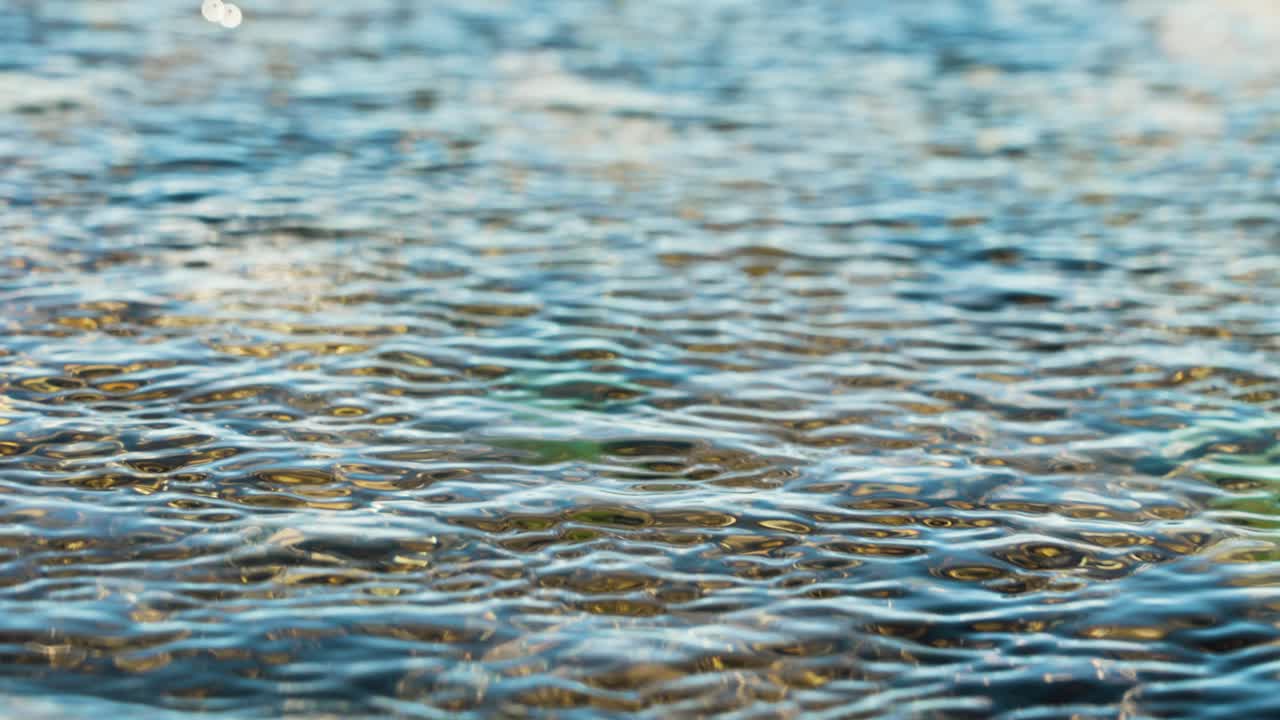 태양 속에서 천천히 흐르는 잔잔한 물의 정적인 샷