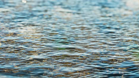 static shot of a body of calm water slowly flowing in the sun