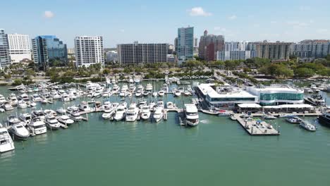 aerial of the entire sarasota marina in its full glory