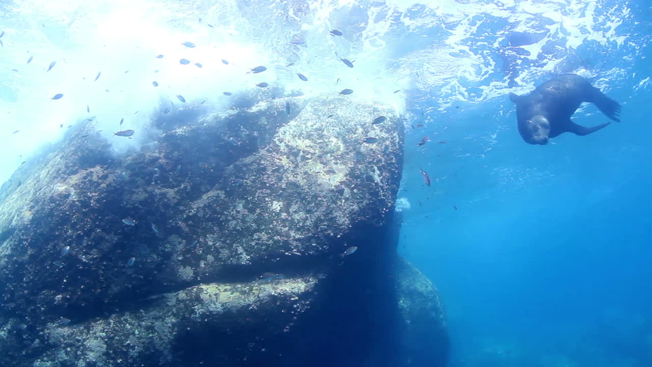 멕시코 다이빙 0 01