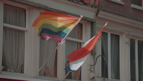 images of pride flags displayed in windows