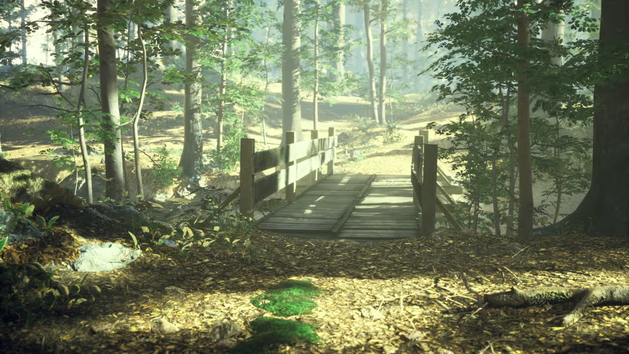 Wooden bridge over tranquil stream in lush forest during morning light