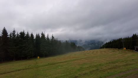 rain and stunning natural scenery with light fog