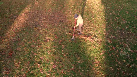 raking leaves in autumn, a chilly day in the midwest