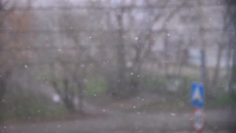 snowing in the city