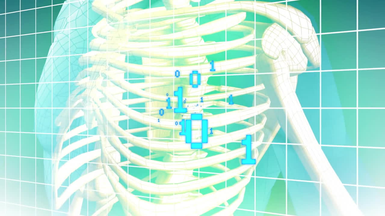 Digital data animation over 3D model of ribcage and shoulder structure