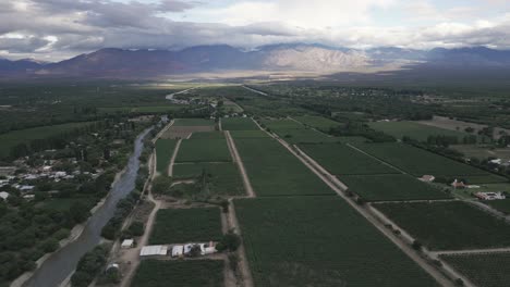 aerial drone above vineyards bordering mountains in cafayate valleys, argentina, wine production region, panoramic viewge