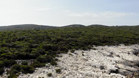 Picturesque-White-Stone-Beach-Of-Emplisi-Beach-In-Kefalonia-Greece---aerial-shot