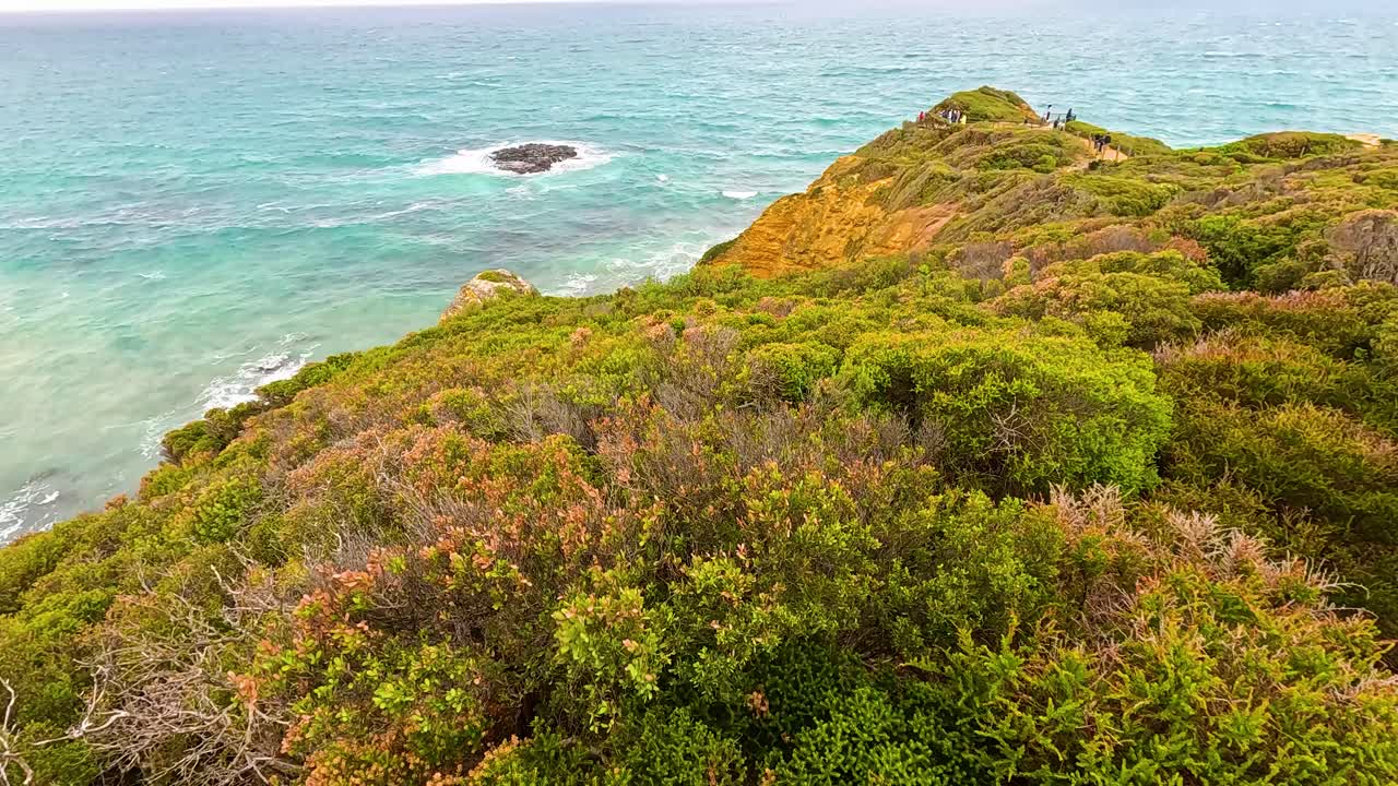 Aerial footage of lush greenery and ocean waves at Aireys Inlet, captured in vibrant daylight