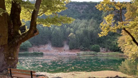 banco cerca de una magnífica vista de la naturaleza de un lago y pinos en grecia