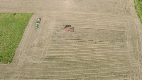 Vista-Aérea-De-Establecimiento-De-Cosechadora-Cortando-Trigo-Amarillo,-Nubes-De-Polvo-Se-Elevan-Detrás-De-La-Máquina,-Industria-Alimentaria,-Cultivos-De-Granos-De-Cosecha-Amarilla,-Día-Soleado-De-Verano,-Revelando-Un-Disparo-De-Drone-Moviéndose-Hacia-Atrás