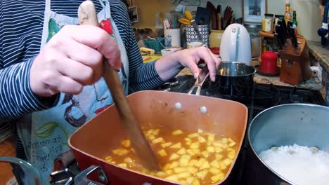 ama de casa con un delantal mientras cocina un estofado para una comida casera durante el día 4k