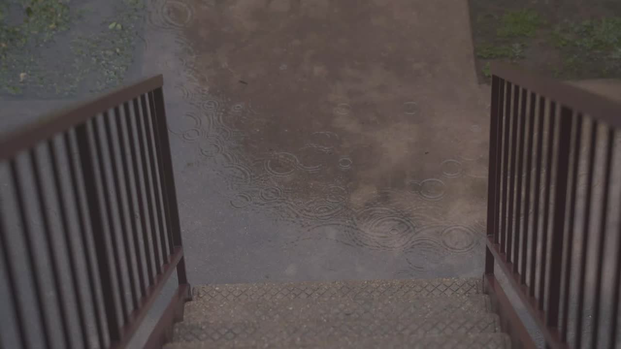 웅 ⁇ 이에 떨어지는 비는 멋진 파동의 고리를 만 ⁇ 니다.