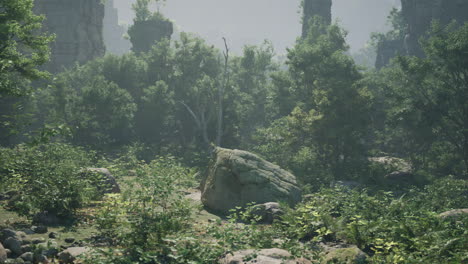 misty forest path with ancient ruins