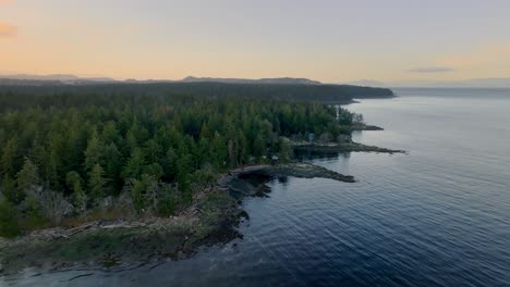 pine woods by the shore of protection island in nanaimo, canada