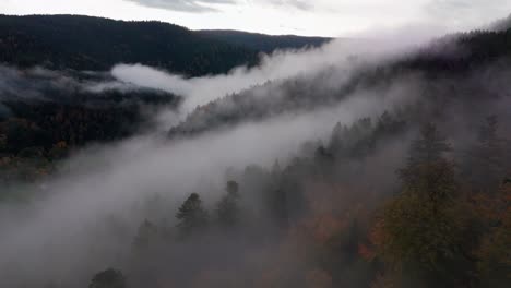 aerial view flying above thick clouds over mystical automnal mountain forest, 4k