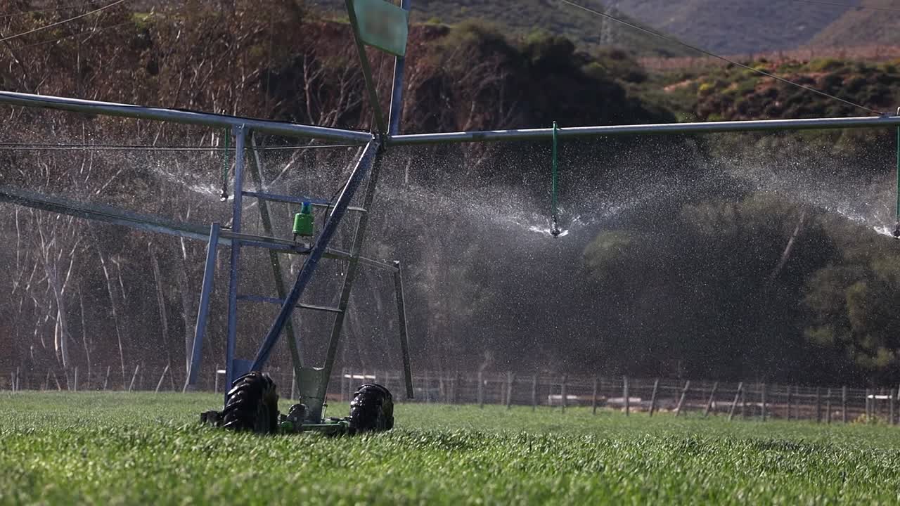 Irrigation pivot watering green crop rolls slowly across sunny field