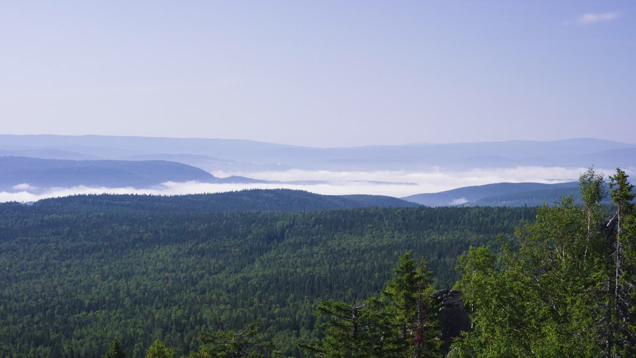 cordillera de niebla con bosque