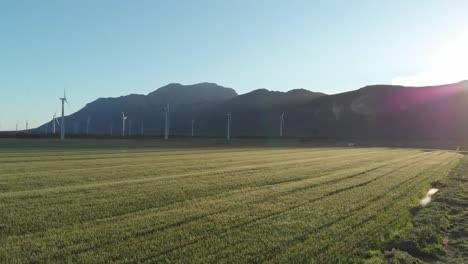 General-view-of-wind-turbines-in-countryside-landscape-with-cloudless-sky