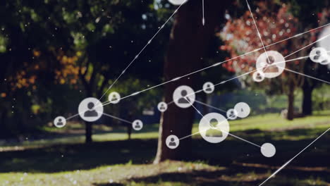 translucent network icons floating over sunlit park, connecting silhouettes with thin white lines