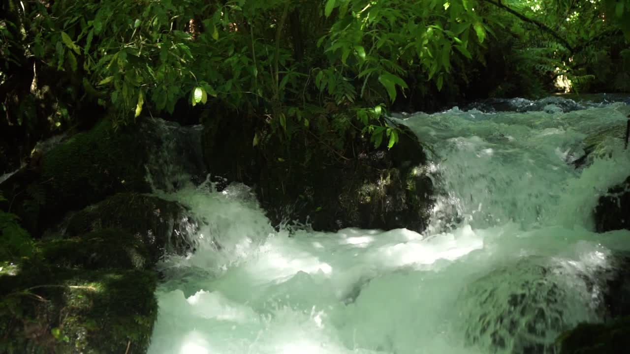 SLOWMO - Fast flowing creek in lush forrest with rapids and rocks at Putaruru Blue Spring, New Zealand