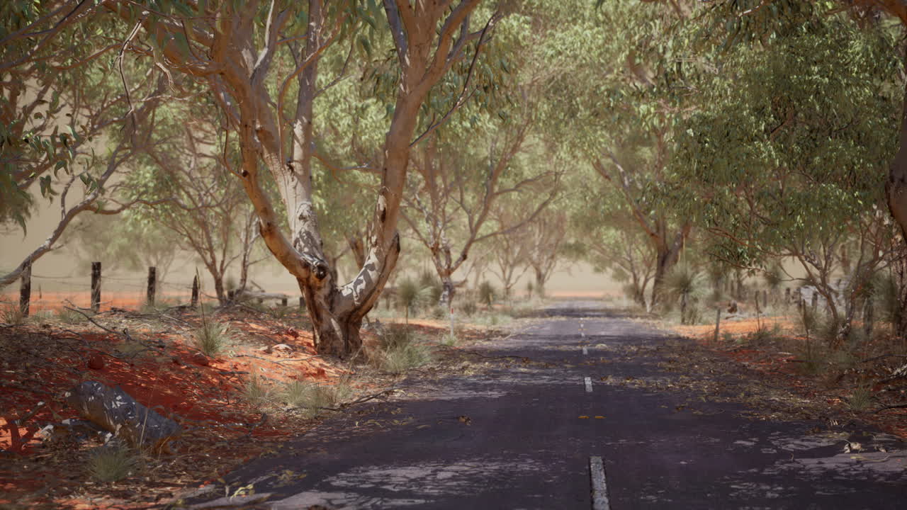 오스트레일리아 의 덤불 나무 들 이 있는 열린 도로