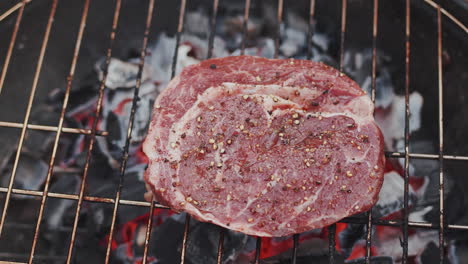 un pedazo de carne cruda con pinzas se coloca en la parrilla durante un alegre picnic al aire libre. concepto de una fiesta de verano sin preocupaciones con comida sabrosa