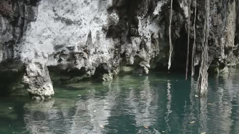 Cenote-00