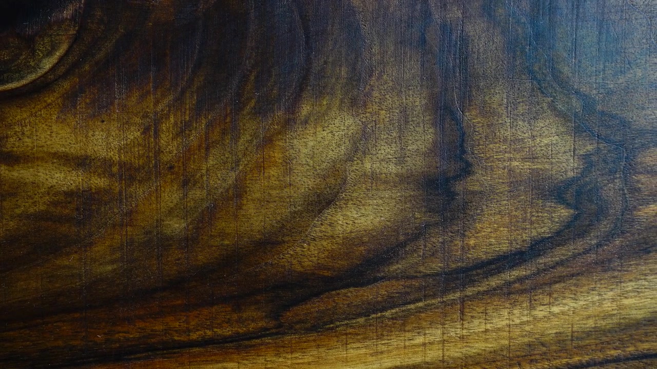 Pozadí a textura stromu.