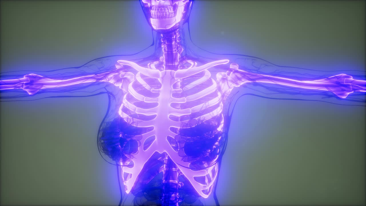 cuerpo humano transparente con huesos visibles