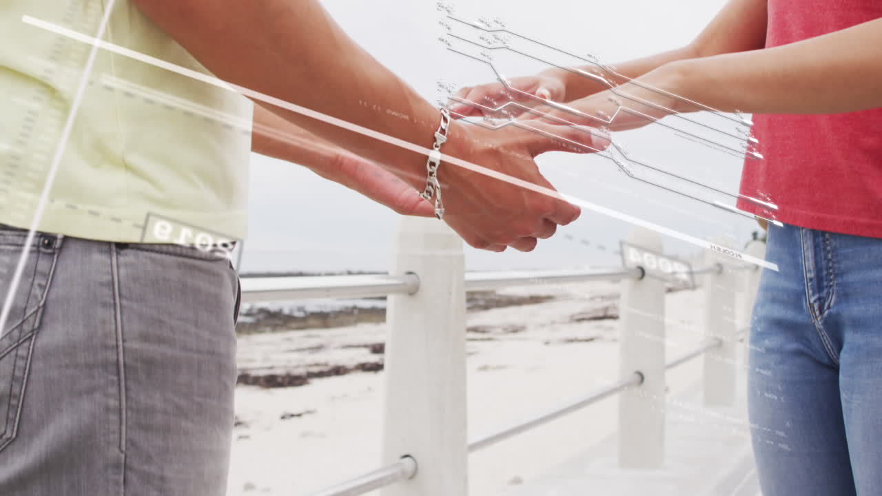 바다에서 손을 잡고 있는 다양한 커플에 대한 데이터 처리의 애니메이션