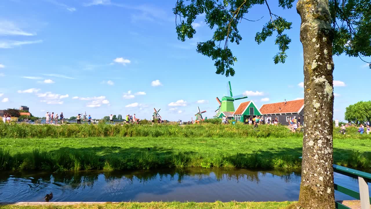 Daytime camera pan reveals windmills, traditional houses, canal, and green fields under blue sky