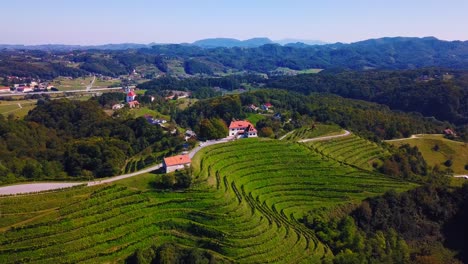 Stunning-aerial-4K-drone-footage-of-Haloze,-Slovenia