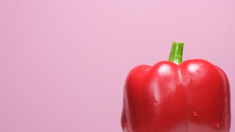 macro shot of a red bell pepper rotating on a blue background macro shot of a red bell pepper rotating on a blue background fresh red pepper closeup video