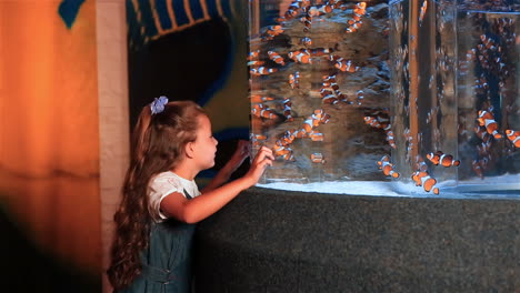 little girl watching tropical fish swimming in a tank