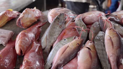 mahe seychelles variety of fishes on the town market in victoria