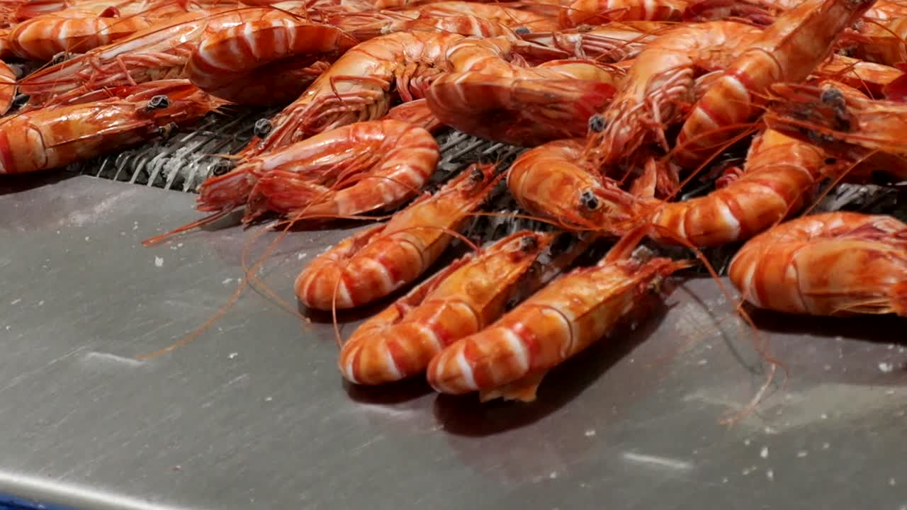 Fresh, cooked prawns slide down conveyor belt onto the processing line, highlighting the care and cleanliness involved in preparing premium produce.